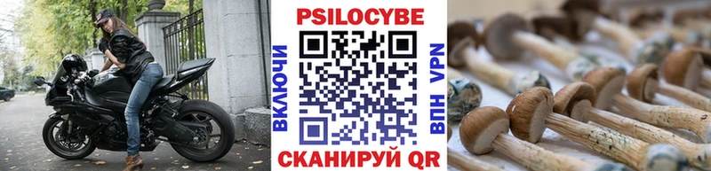 Купить  Уяр  Псилоцибиновые грибы Psilocybe 